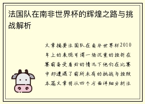 法国队在南非世界杯的辉煌之路与挑战解析
